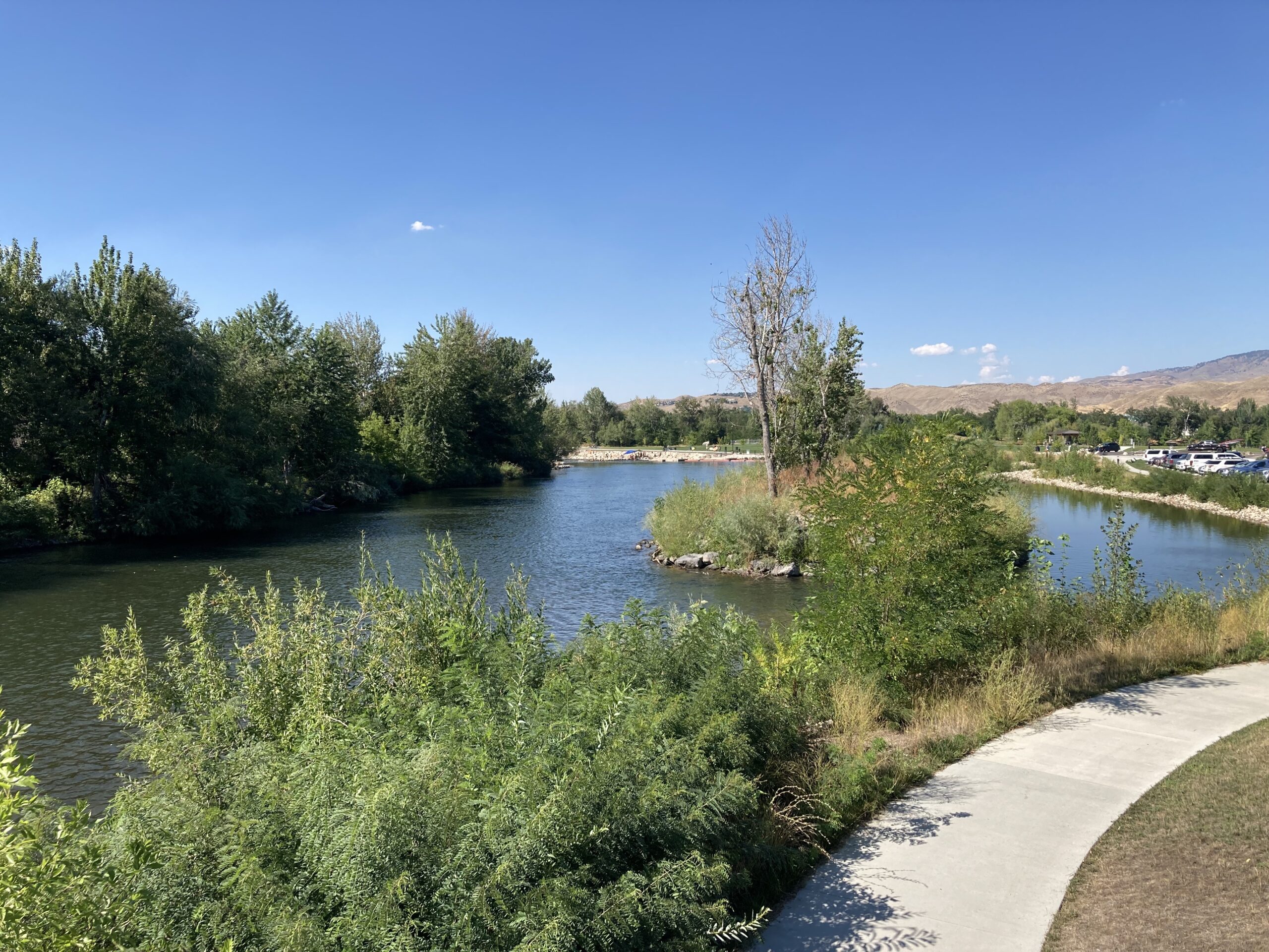 Winding sidewalk next to a river and trees.