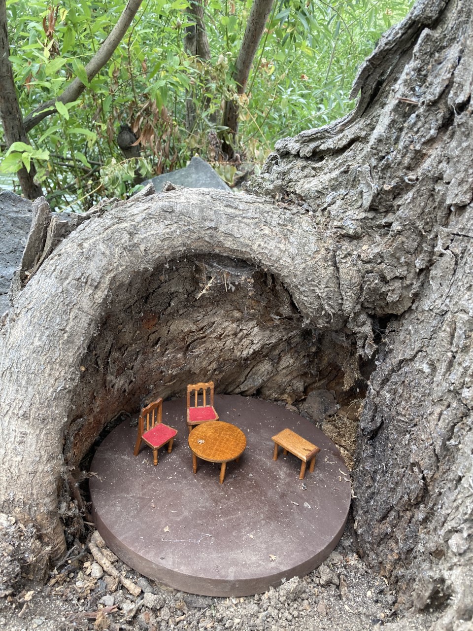 Miniature dining room table and chairs inside tree stump.